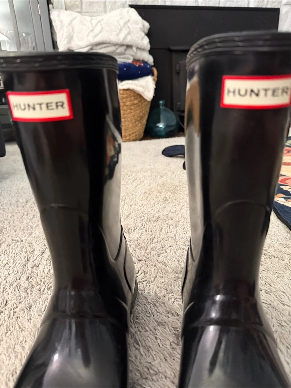 Hunter glossy blackbird